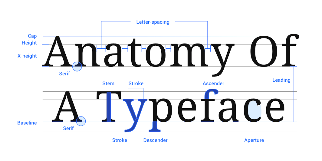 More typeface anatomy!